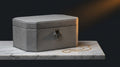 Xpedition Jewelry Safe with Biometric Finger Print Lock, Leather-Wrapped Design, Diamond Shaped Lock